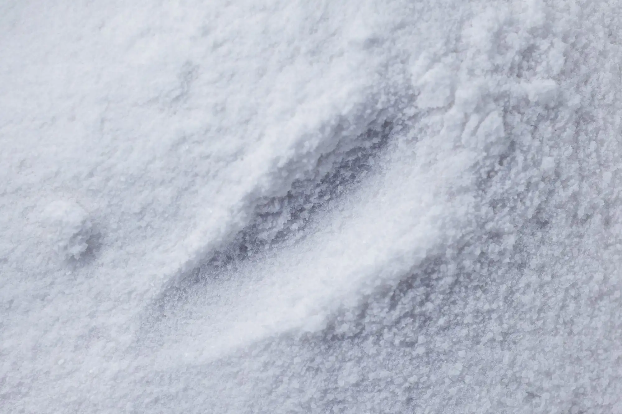 White mineral powder, macro